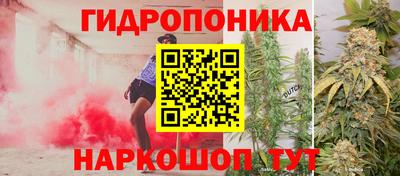 ПСИЛОЦИБИНОВЫЕ ГРИБЫ Севастополь