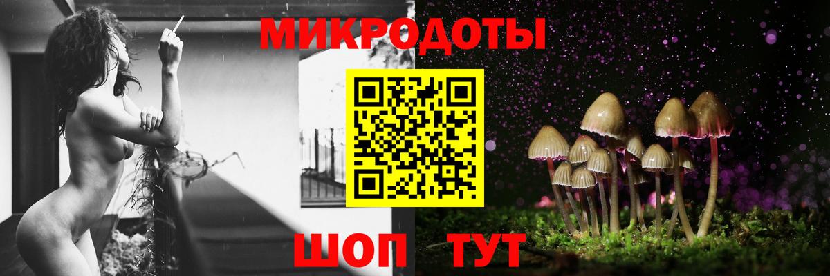 Южноуральск  Галлюциногенные грибы прущие грибы  Вход с VPN 