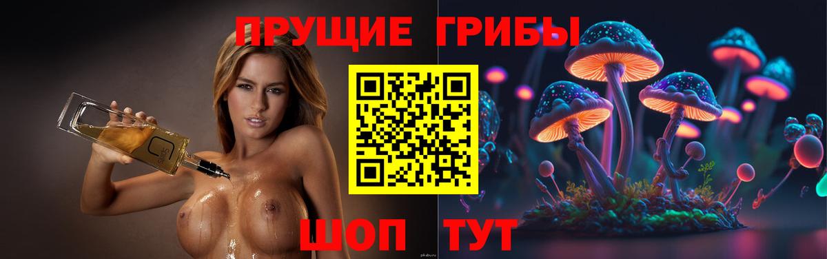 Галлюциногенные грибы Psilocybe Южноуральск